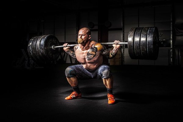 Les grandes raisons de prendre des protéines en musculation
